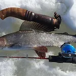Chalet Tervetuloa Nauttimhaan Puhtaasta Luonnosta Pelhoon Saukkooja