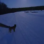 Tervetuloa Nauttimhaan Puhtaasta Luonnosta Pelhoon Chalet Saukkooja
