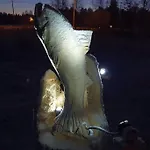 Chalet Tervetuloa Nauttimhaan Puhtaasta Luonnosta Pelhoon *