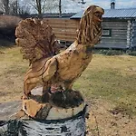 Chalet Tervetuloa Nauttimhaan Puhtaasta Luonnosta Pelhoon Saukkooja