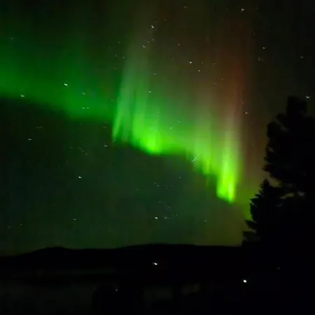 Tervetuloa Nauttimhaan Puhtaasta Luonnosta Pelhoon Alpehytte *