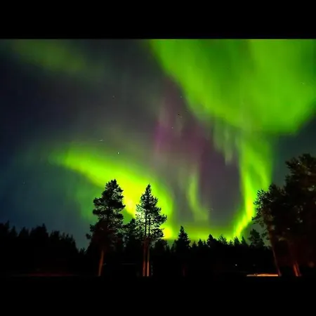 Tervetuloa Nauttimhaan Puhtaasta Luonnosta Pelhoon *