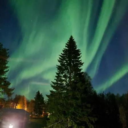 Alpehytte Tervetuloa Nauttimhaan Puhtaasta Luonnosta Pelhoon Saukkooja