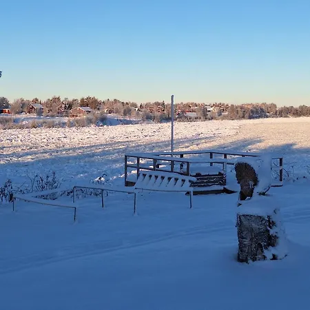 Tervetuloa Nauttimhaan Puhtaasta Luonnosta Pelhoon Saukkooja