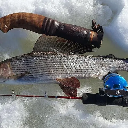 Alpehytte Tervetuloa Nauttimhaan Puhtaasta Luonnosta Pelhoon Saukkooja
