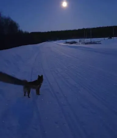 Tervetuloa Nauttimhaan Puhtaasta Luonnosta Pelhoon Alpehytte Saukkooja