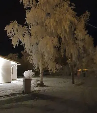 Tervetuloa Nauttimhaan Puhtaasta Luonnosta Pelhoon * Saukkooja