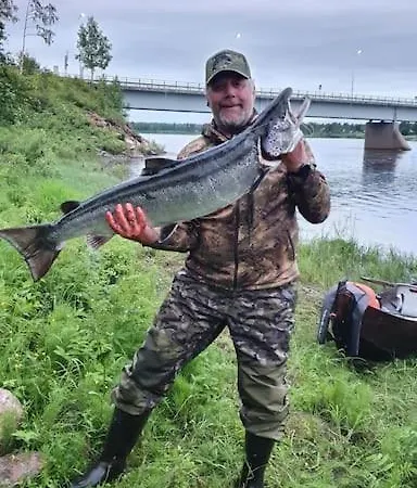 Tervetuloa Nauttimhaan Puhtaasta Luonnosta Pelhoon * Saukkooja