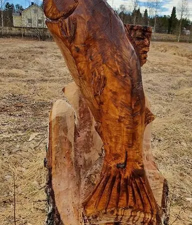 Tervetuloa Nauttimhaan Puhtaasta Luonnosta Pelhoon Chalet