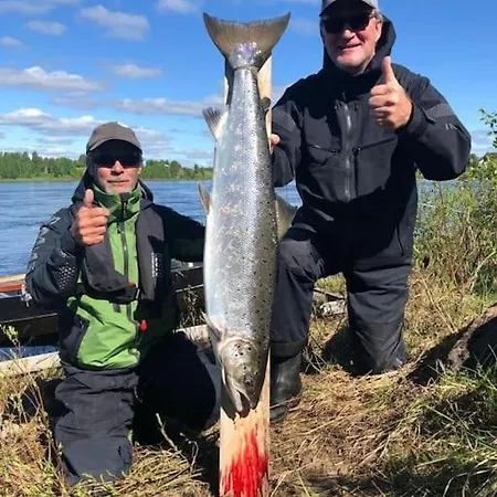 Alpehytte Tervetuloa Nauttimhaan Puhtaasta Luonnosta Pelhoon *