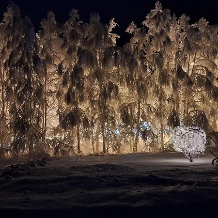 Tervetuloa Nauttimhaan Puhtaasta Luonnosta Pelhoon Chalet