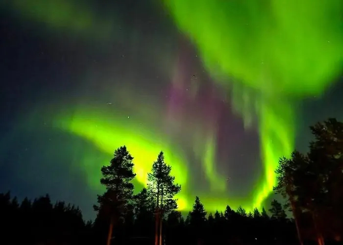 Tervetuloa Nauttimhaan Puhtaasta Luonnosta Pelhoon *