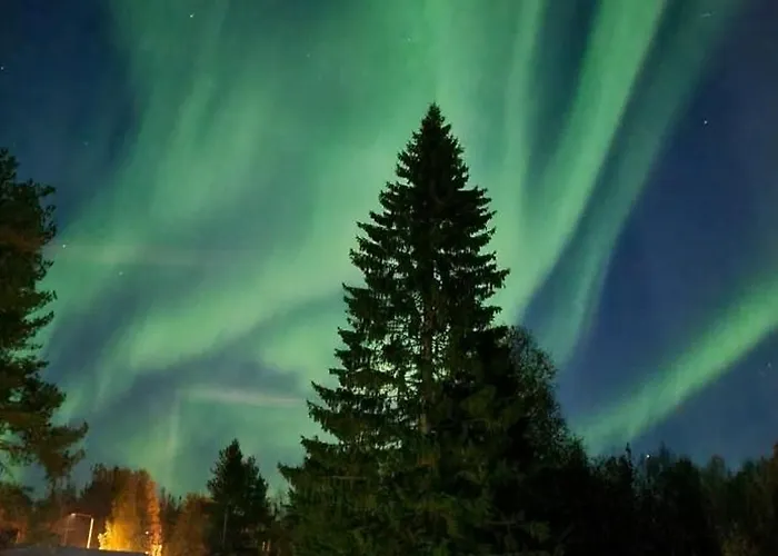 Chalet Tervetuloa Nauttimhaan Puhtaasta Luonnosta Pelhoon Saukkooja