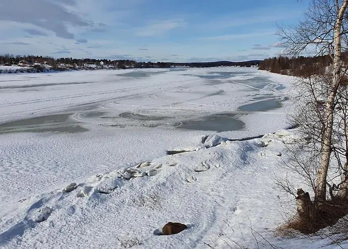Tervetuloa Nauttimhaan Puhtaasta Luonnosta Pelhoon * Saukkooja