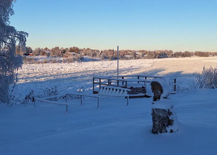 Tervetuloa Nauttimhaan Puhtaasta Luonnosta Pelhoon Saukkooja