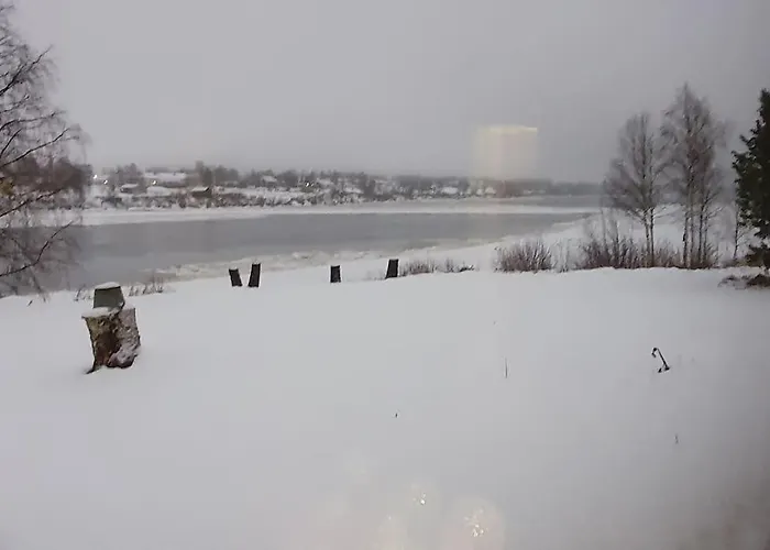 Tervetuloa Nauttimhaan Puhtaasta Luonnosta Pelhoon Saukkooja