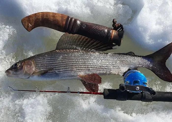 Chalet Tervetuloa Nauttimhaan Puhtaasta Luonnosta Pelhoon Saukkooja
