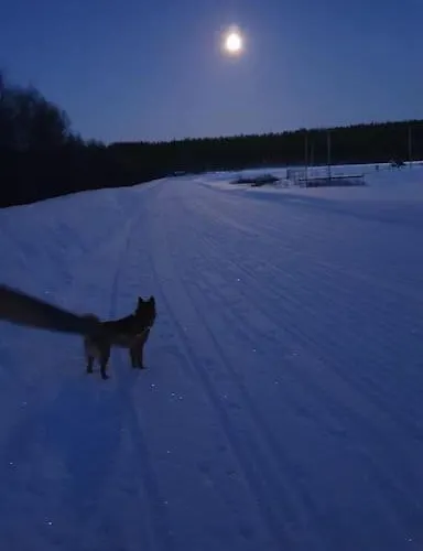 Tervetuloa Nauttimhaan Puhtaasta Luonnosta Pelhoon Chalet Saukkooja