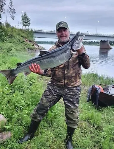 Tervetuloa Nauttimhaan Puhtaasta Luonnosta Pelhoon * Saukkooja