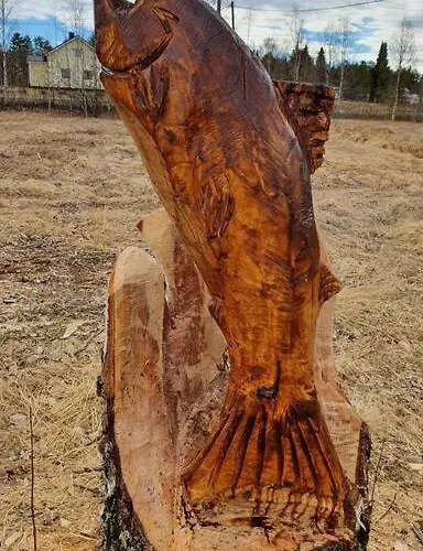 Tervetuloa Nauttimhaan Puhtaasta Luonnosta Pelhoon Chalet