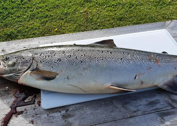 Tervetuloa Nauttimhaan Puhtaasta Luonnosta Pelhoon Chalet