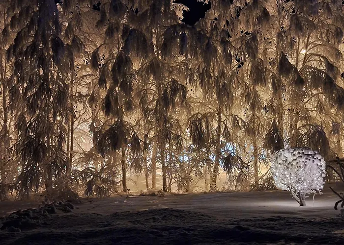 Tervetuloa Nauttimhaan Puhtaasta Luonnosta Pelhoon Chalet