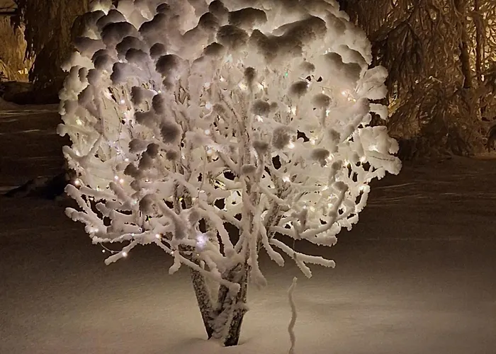 Tervetuloa Nauttimhaan Puhtaasta Luonnosta Pelhoon Saukkooja